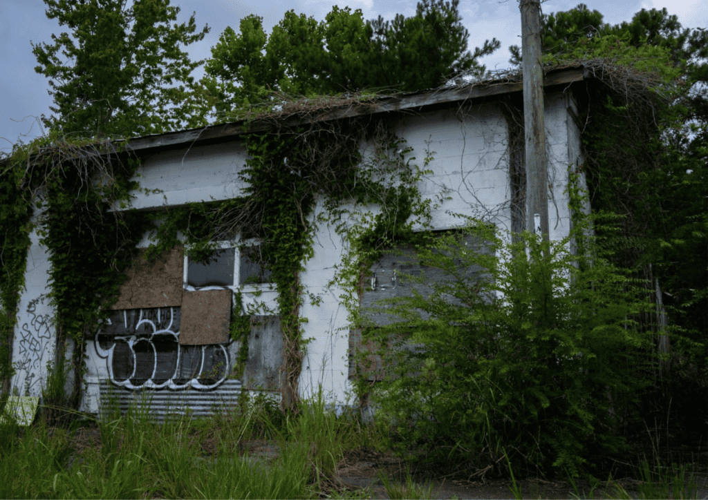 An abandoned building sits overgrown an covered in graffiti an boarding.